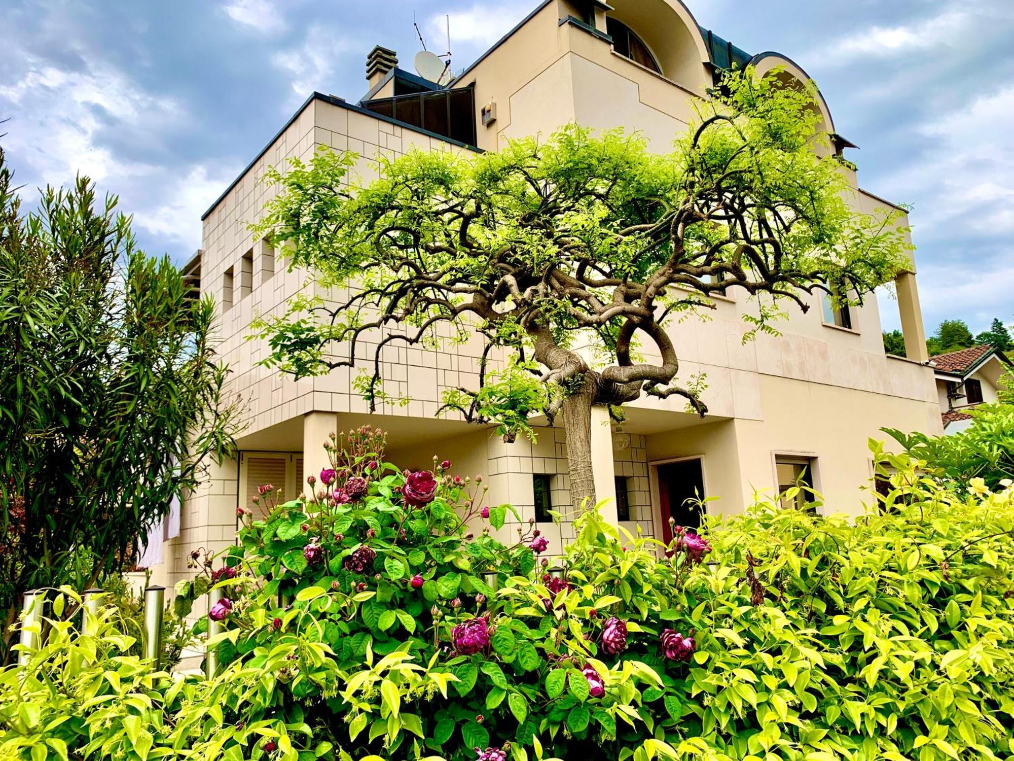 L'angolo verde apartment Moncalieri Esterno foto